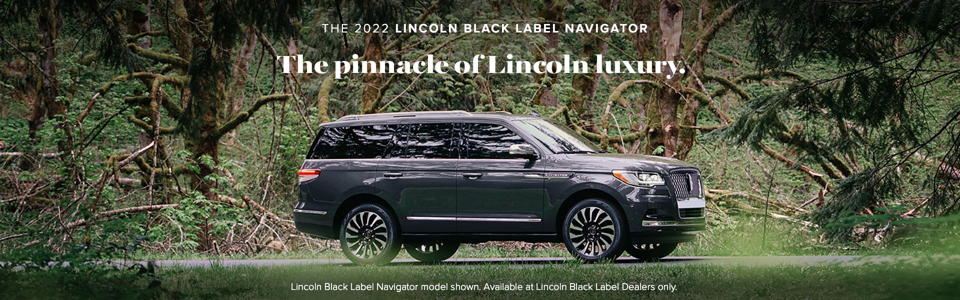 2022 Lincoln Navigator in Coconut Creek, FL